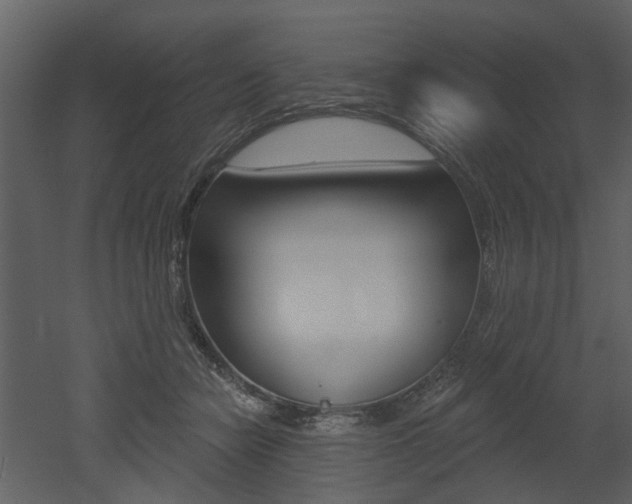 X0000052960462200507080900