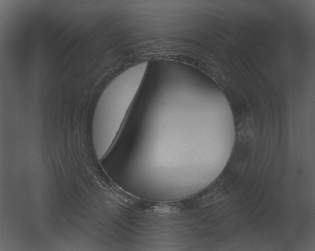 X0000052960464200507080900