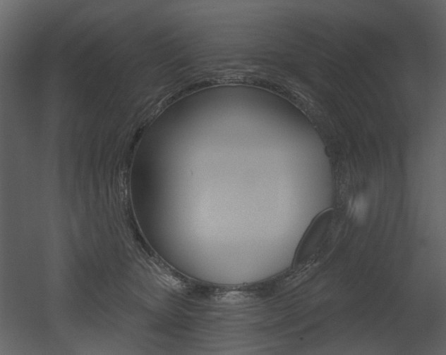 X0000052960467200507080900