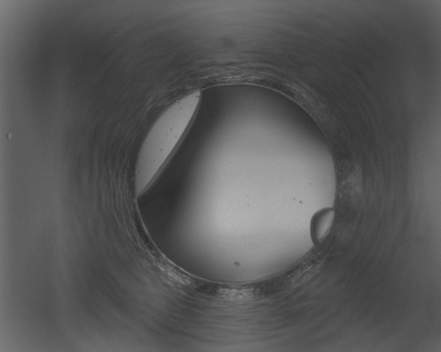 X0000052960469200507080900