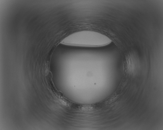 X0000052960471200507080900