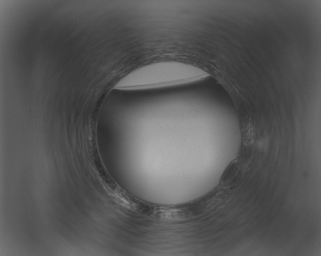 X0000052960472200507080900
