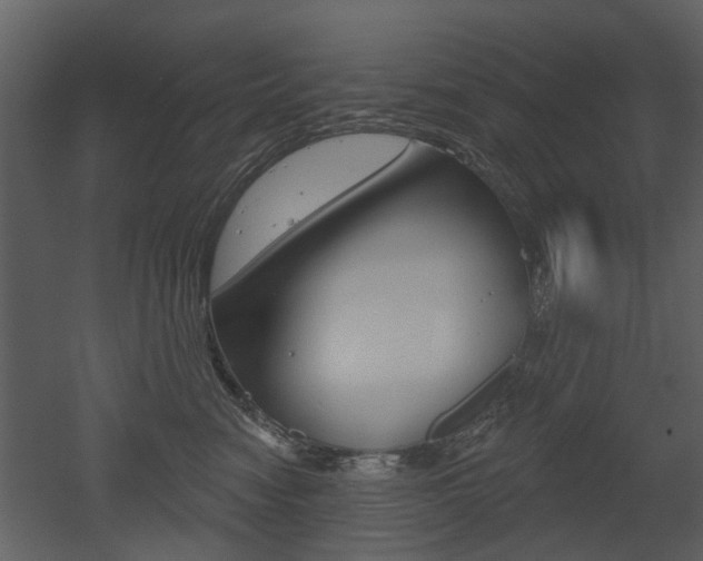 X0000052960474200507080900