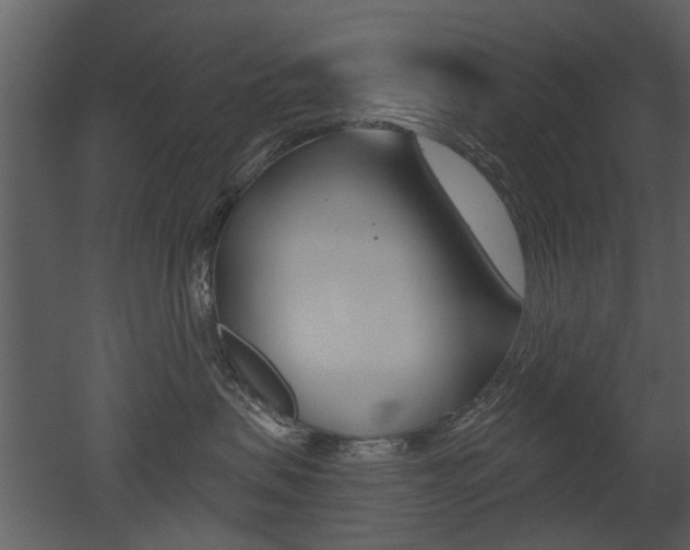 X0000052960479200507080901