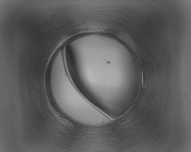 X0000052960483200507080900