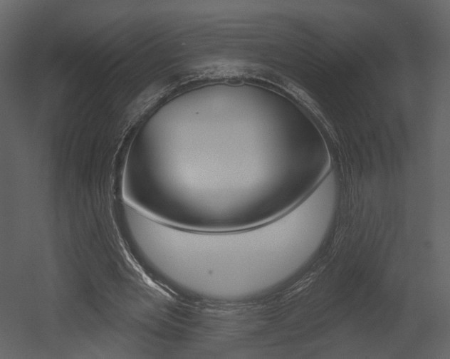 X0000052960485200507080900