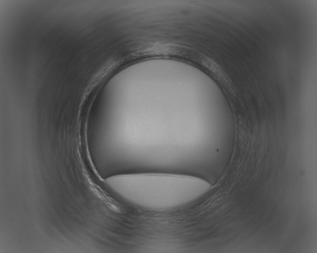 X0000052960486200507080900