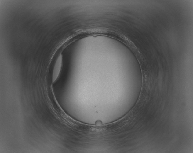 X0000052960487200507080900