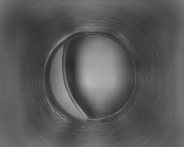 X0000052960488200507080900