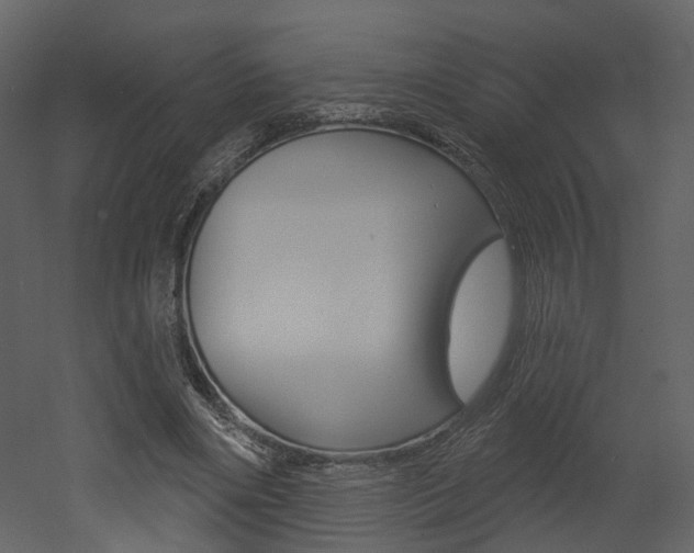 X0000052960490200507080900