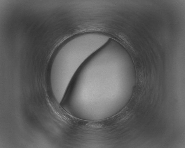 X0000052960491200507080900