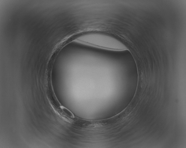X0000052960492200507080900