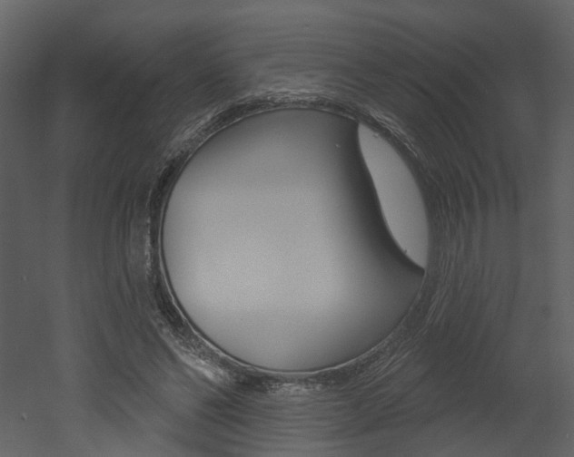 X0000052960494200507080900