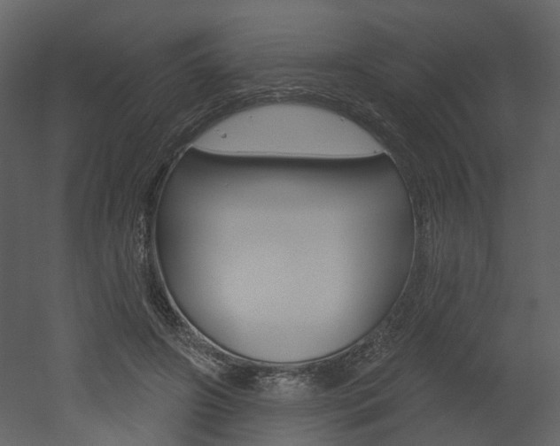 X0000052960498200507080859