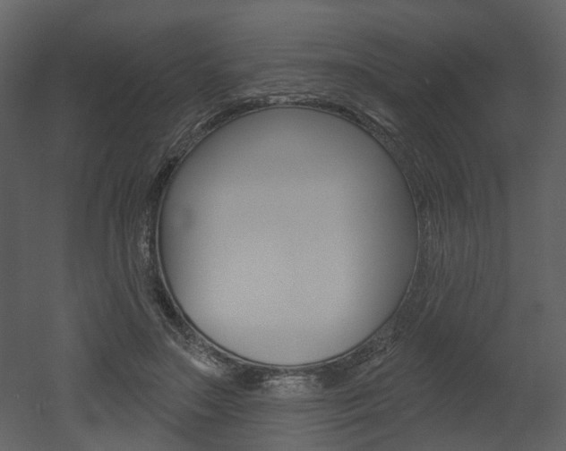 X0000052960499200507080859