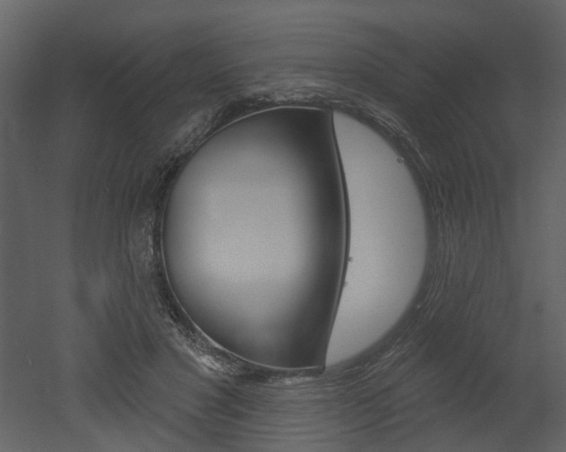 X0000052960501200507080859