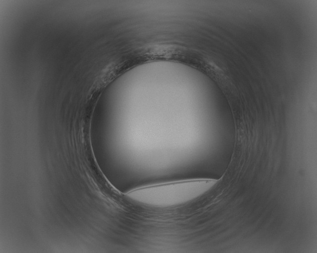 X0000052960504200507080859