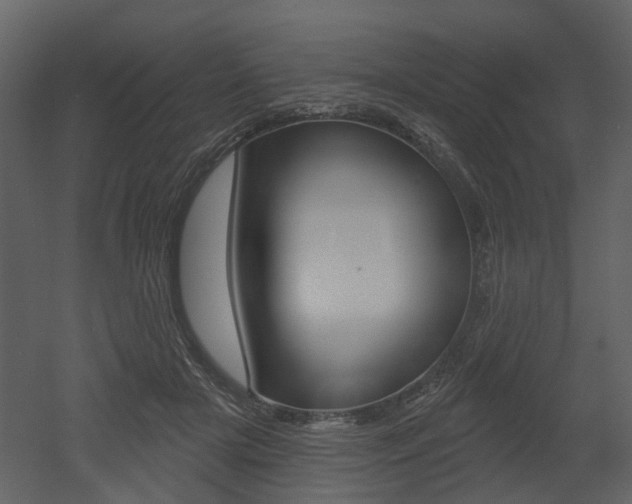 X0000052960505200507080859