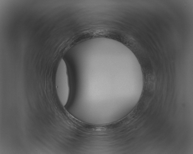 X0000052960506200507080859