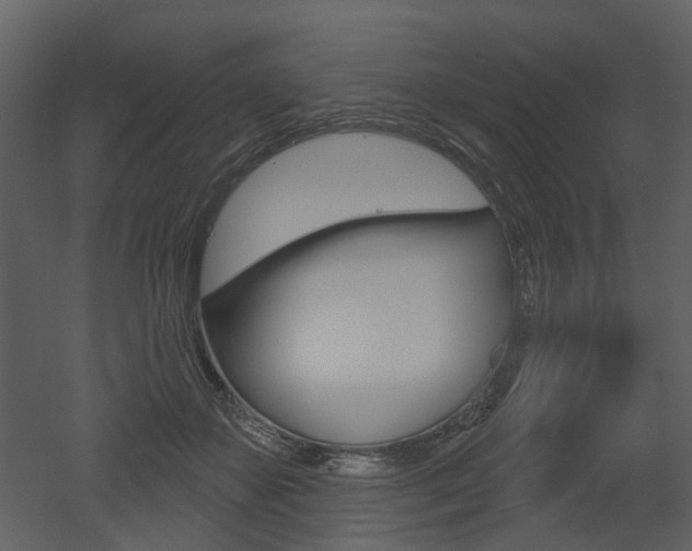 X0000052960507200507080859