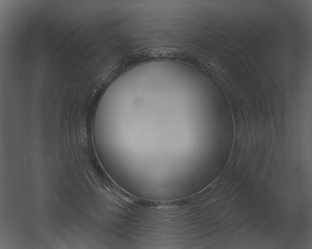 X0000052960508200507080859
