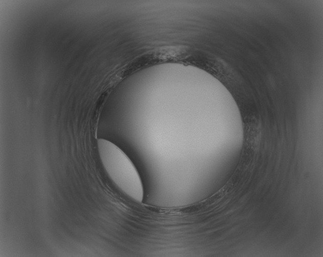 X0000052960510200507080859
