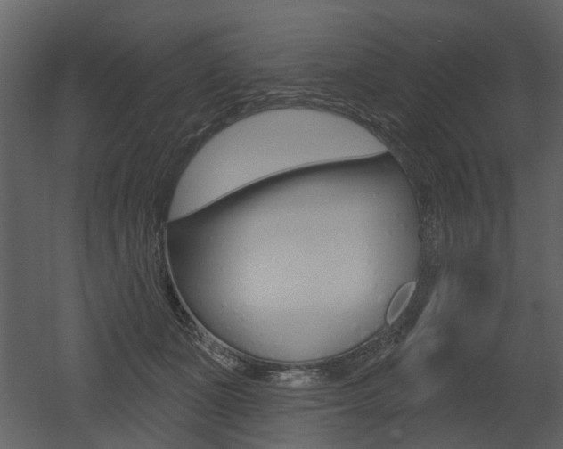 X0000052960511200507080859