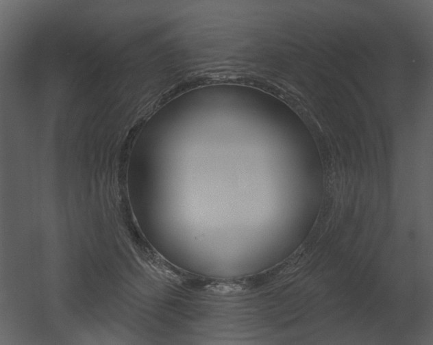 X0000052960512200507080859