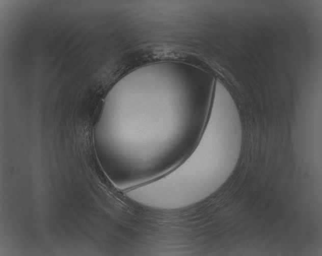 X0000052960513200507080859