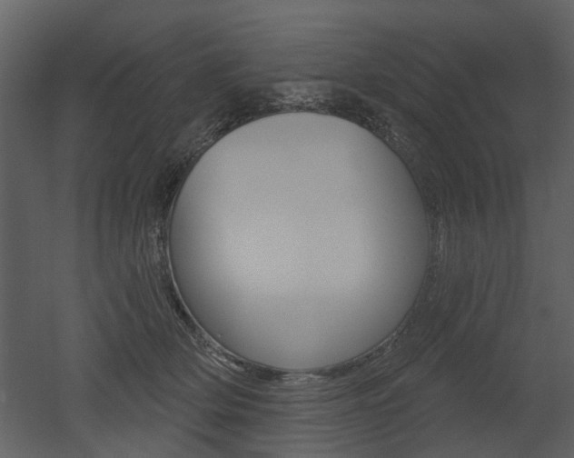 X0000052960514200507080859