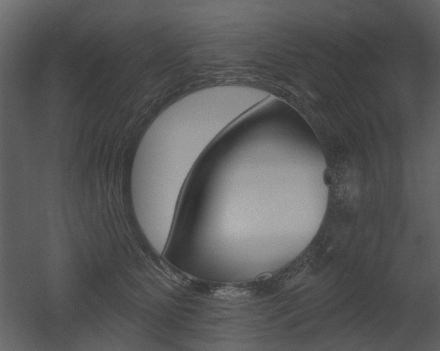 X0000052960515200507080859