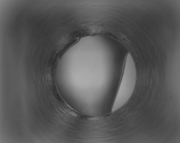 X0000052960516200507080859
