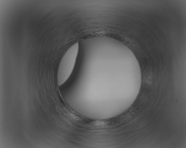 X0000052960518200507080859