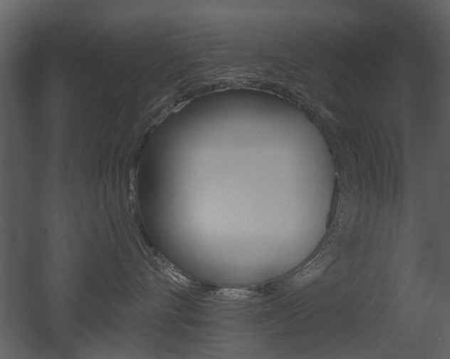 X0000052960528200507080859