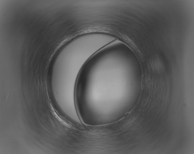 X0000052960530200507080858