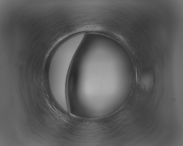 X0000052960531200507080858