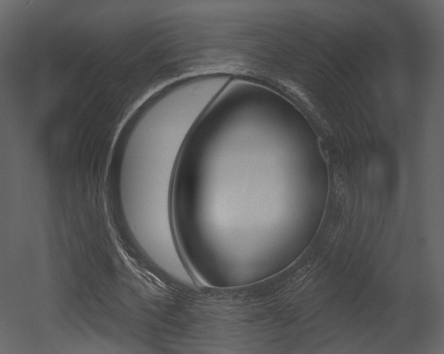 X0000052960532200507080858