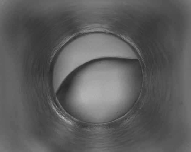 X0000052960533200507080858