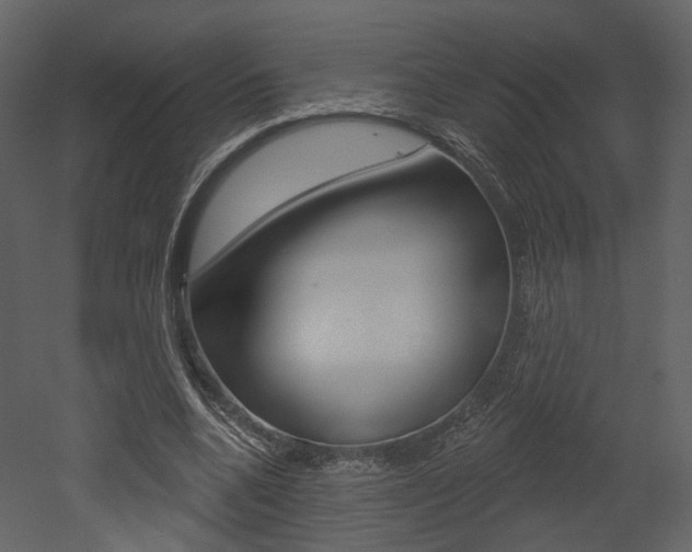 X0000052960536200507080858