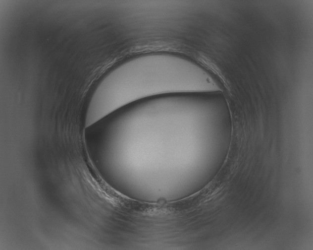 X0000052960537200507080858