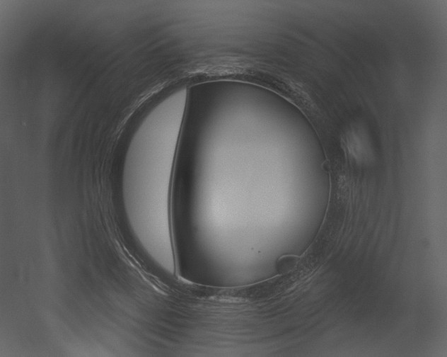 X0000052960539200507080858