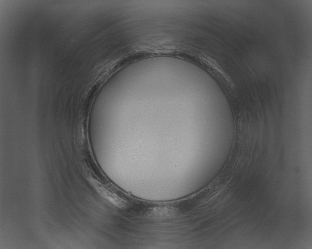 X0000052960541200507080858