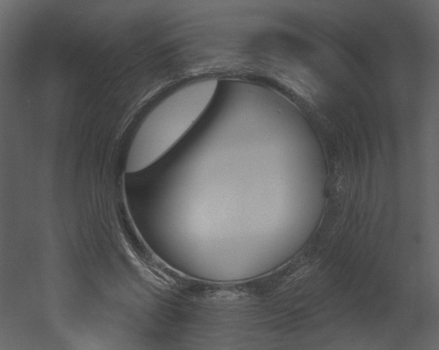 X0000052960542200507080858