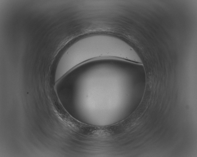X0000052960544200507080858