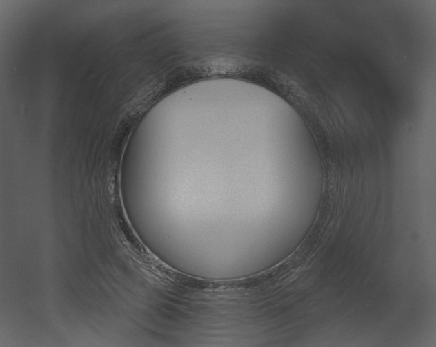 X0000052960545200507080858