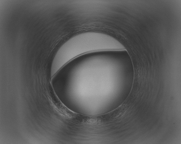 X0000052960546200507080858