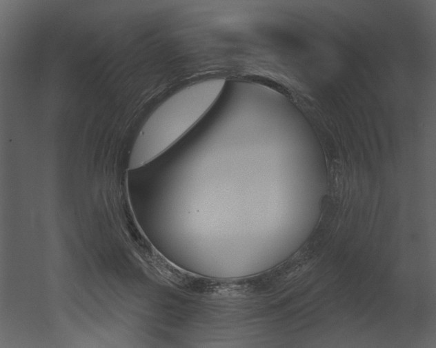 X0000052960550200507080858