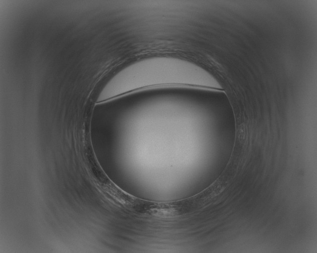 X0000052960552200507080858