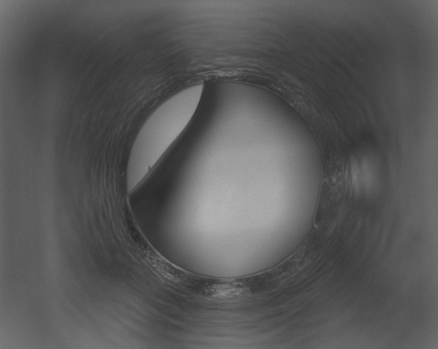 X0000052960555200507080859