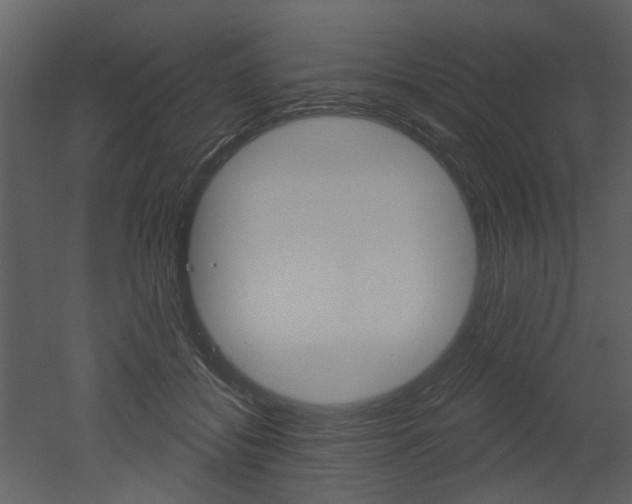 X0000052960556200507080859